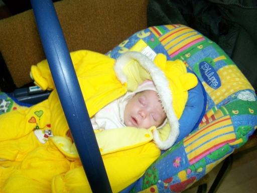 100_7278.JPG